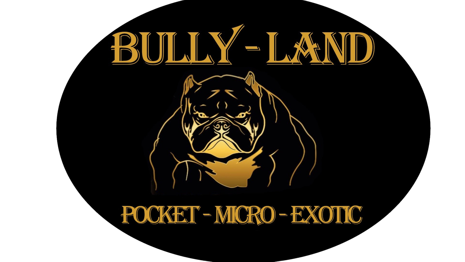 bully_land_logo_transparent